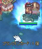 プラン　クトン