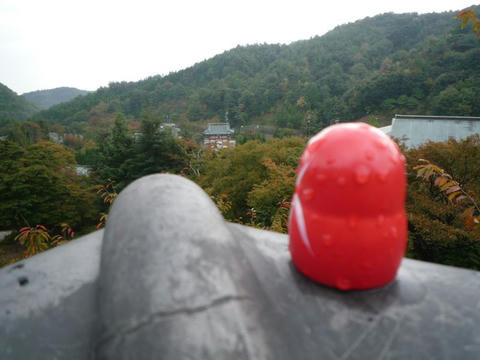 だるまさんは見た