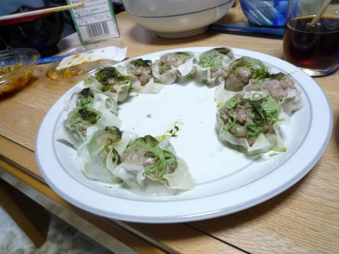 s_P1000567.jpg