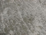 20080302_0005.JPG