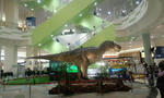 100428_1844~01.jpg