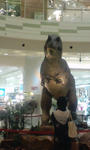 100428_2057~01.jpg