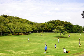 IMGP9927.JPG