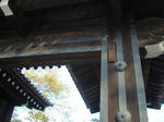京都御苑2
