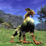 hippogryph.jpg