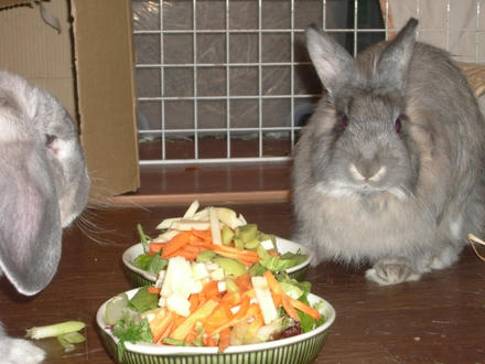 ご飯も