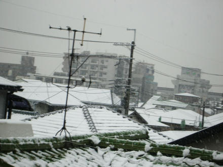 雪やぁ！