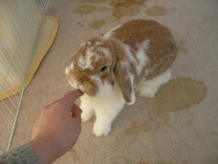 かわいいなぁ