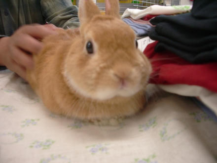暖くん