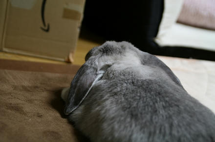 おかんのアホ