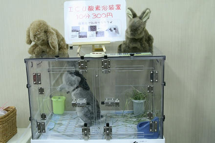 酸素浴