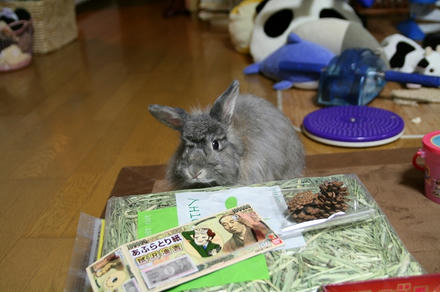 お金でちゅ！