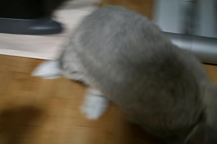 いただきますや!