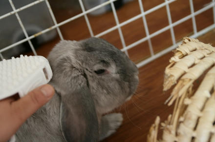エエ感じや