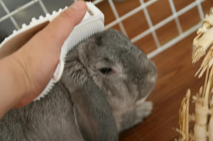 なかなか