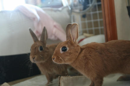 私ですか
