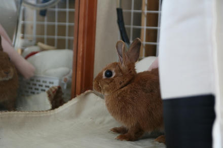 もうひとり