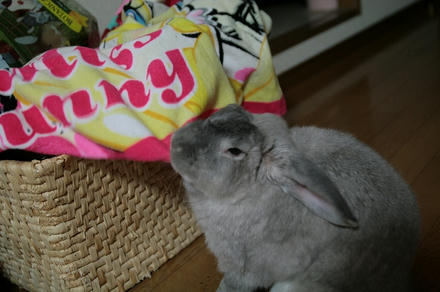 取れへんな