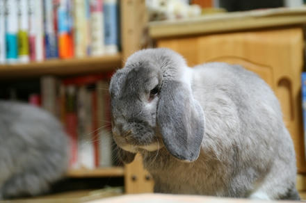 何が