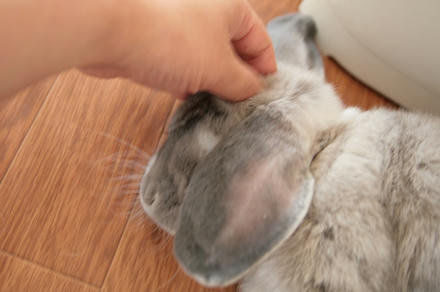 こんなコトしても