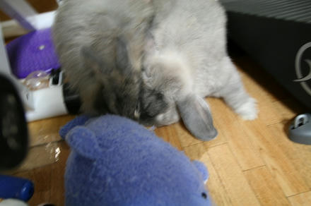 開かへんでぇ~