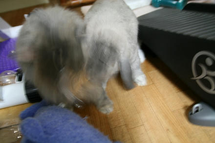 こら~