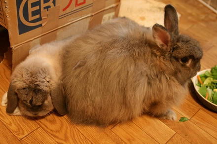お尻で