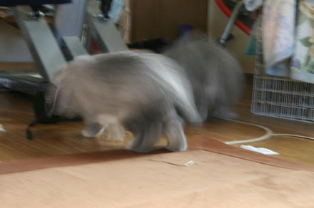わぁ～！！