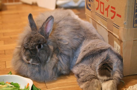 ぬくいでちゅか