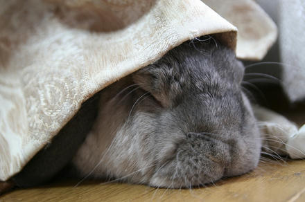 おかしいな