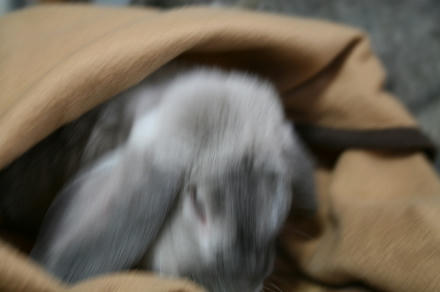 出せぇ～