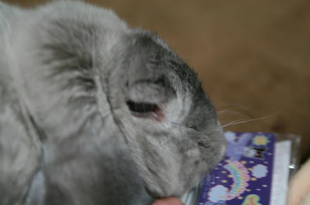 似てるな