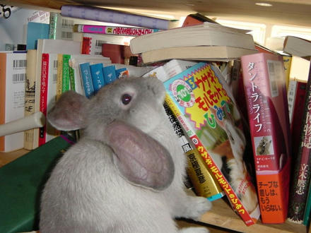 ちっこい頃に