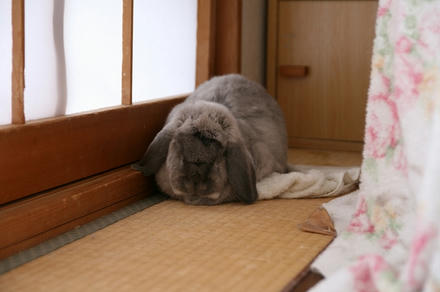 昼ねや