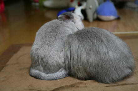 怪奇