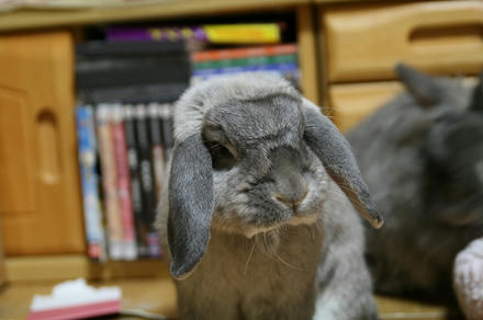 オレだけ