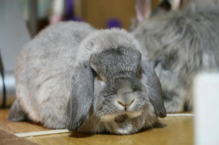 ありがとうなぁ～