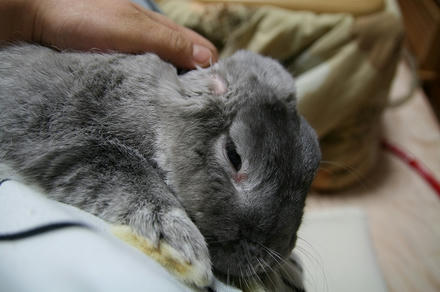 抱っこされてな