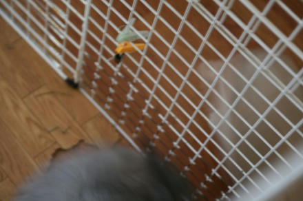 ダメでちゅ～