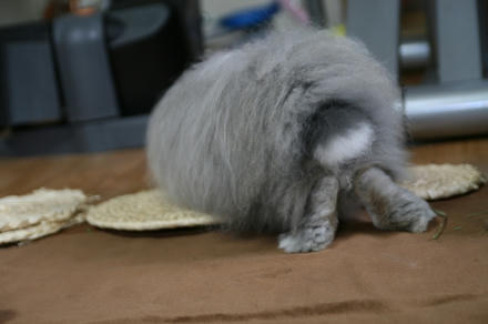 ええなぁ～