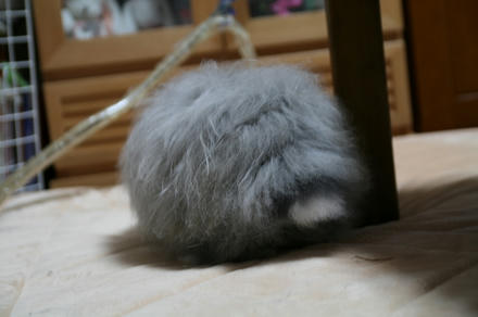 お尻や