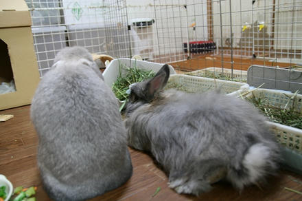 エエ写真で・・・