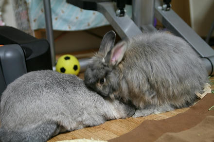 ナメナメちてあげまちゅから