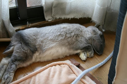 ヒトリで