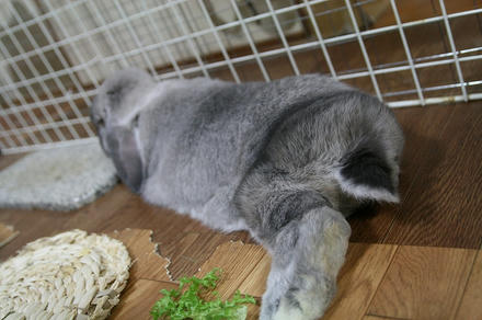 食べたら