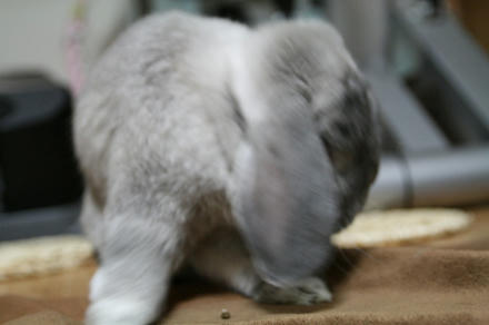 神様