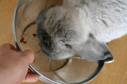 もっと