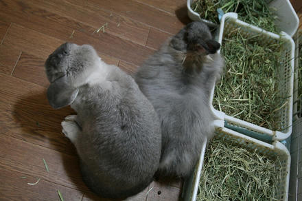 お尻くっつけて