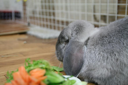 夢やったんやろ