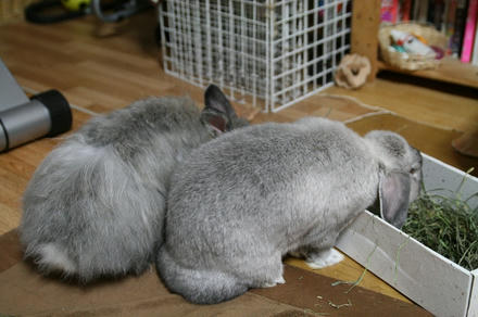 もぐもぐもぐ